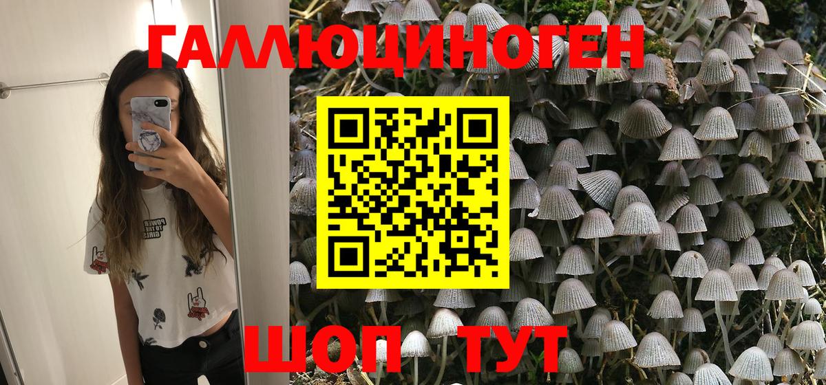 Россошь  Псилоцибиновые грибы MAGIC MUSHROOMS  Вход с VPN  Псилоцибиновые грибы Psilocybine cubensis 