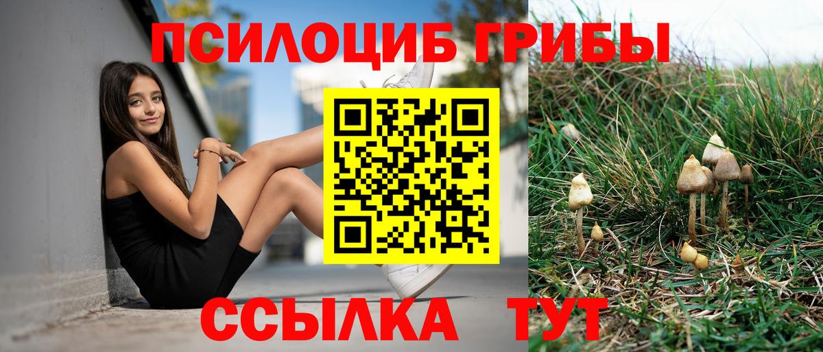 Галлюциногенные грибы Psilocybine cubensis Россошь